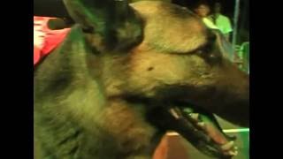 Rastapopoulos - Salsapo Samba Break Live 2007