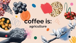 Coffee Is Agriculture by ED+U (Part 2)