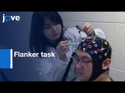 EEG and Spectroscopy Recordings conducted with a Flanker task | Protocol Preview