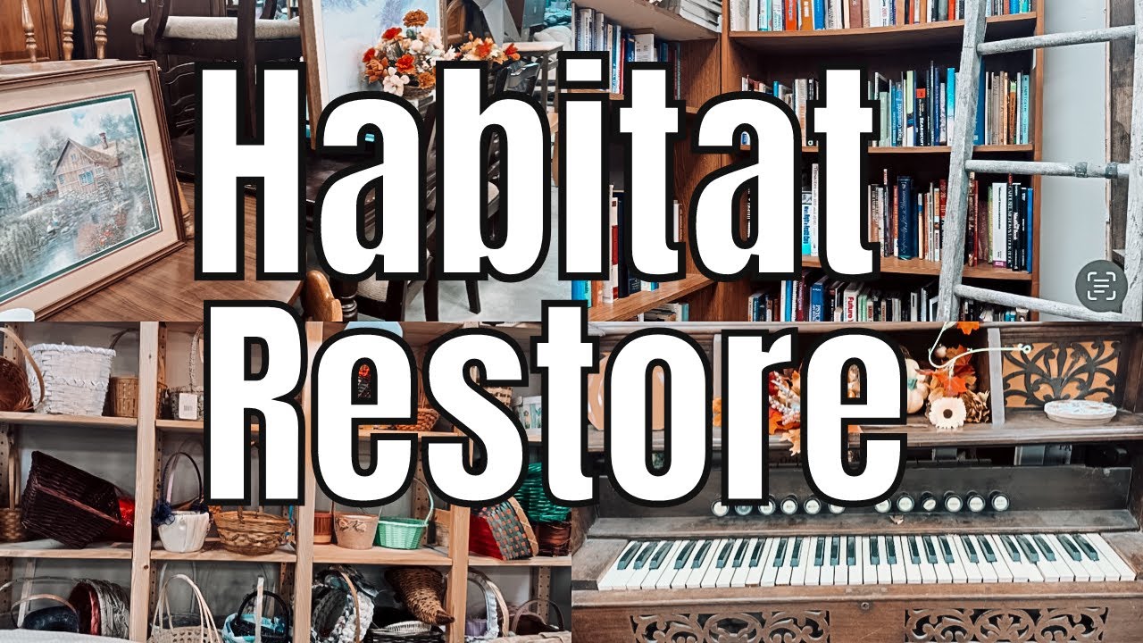 Habitat Restore shop with me thrift shop with me 2025 YouTube