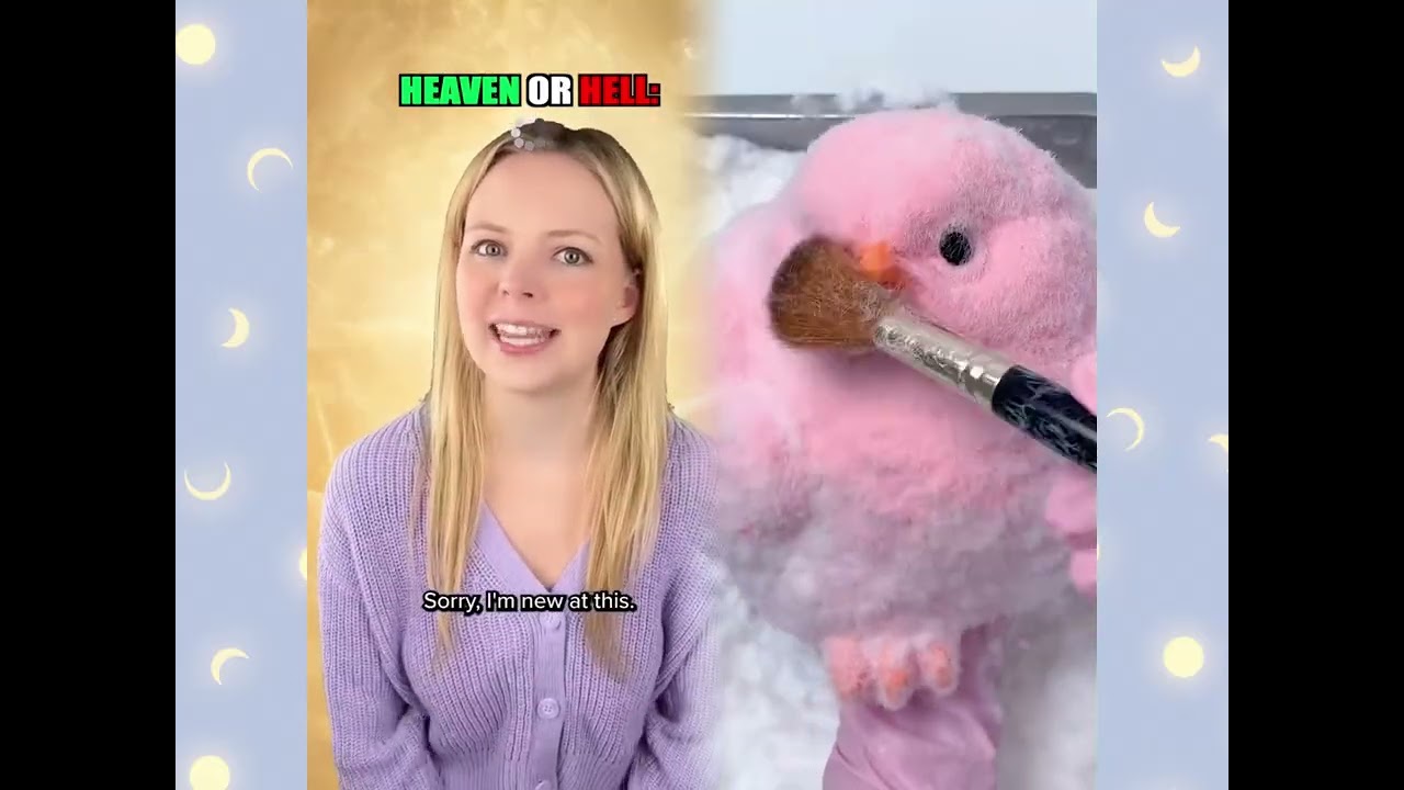 🤣👌👌👌2026 pov Must-Watch Crazy Clips Compilation 