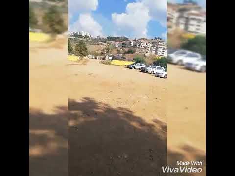 فقتك يا اعز الناس و هاد اخوكم كارلوس تحياتي لآل جميع نبضي