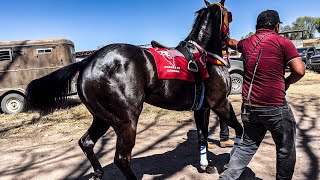Que Chulada De Yegua | La Nueva Catrina Vs La Mentira, Tapias Race Track Durango Mex.