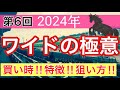【必見‼︎ワイドの狙い方】競馬予想(第6回講義)