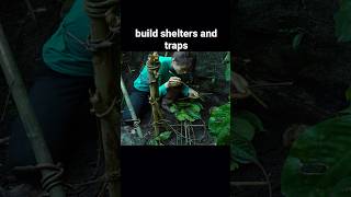 Build a wood shelter and traps - P2