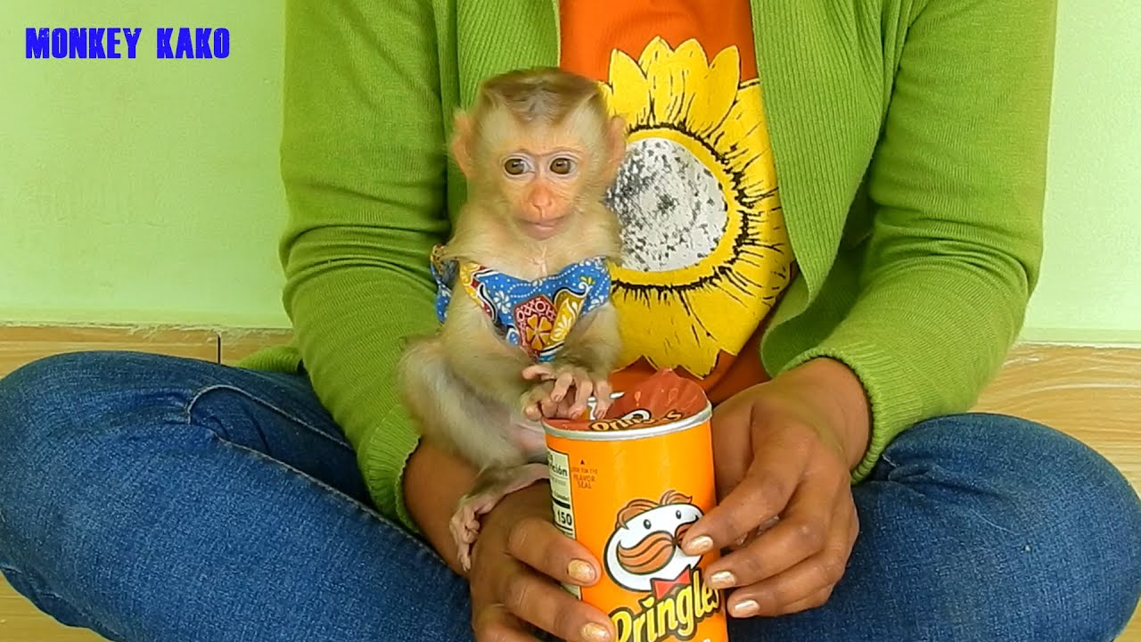 Cute Monkey, Tiny Baby Nina Test New Potato Crisps
