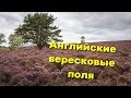 121. Вересковая пустошь - Dunwich Heath