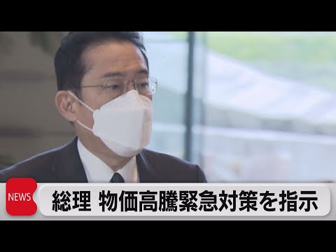 物価上昇に対応 緊急対策を４月末めどに取りまとめへ（2022年3月29日）