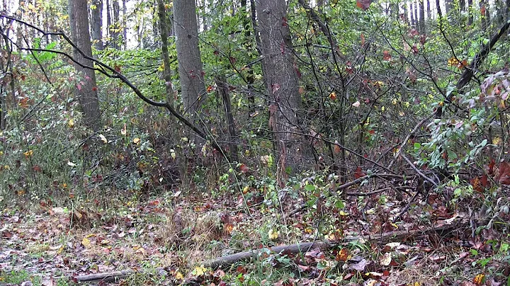 True Life Hunting Adventures Season 3 Episode 2