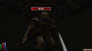 Modded Daggerfall in 2020: Graphics and new Gameplay: Unity Let's play 11