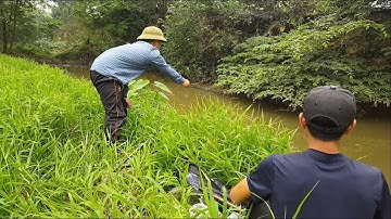 Câu cá giải trí – Đi câu cá diếc đồng giật mỏi tay