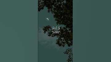 قُلْ هُوَ الرَّحْمَٰنُ آمَنَّا_ تلاوة خاشعة من سورة الملك _ بصوت القارئ عبدالعزيز سحيم
