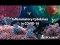 Inflammatory Cytokines in COVID-19