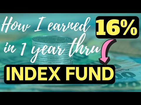 How I Earned 16% In 1 Year Thru Index Fund!