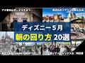 【このまま真似して】GWは激混み！？上級者が使うディズニーの朝の回り方20パターン紹介！：5月対応