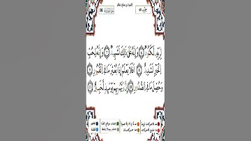 Sourate Al-Adiyat | Yassin Al-Jazairi (100) سورة العاديات | ياسين الجزائري