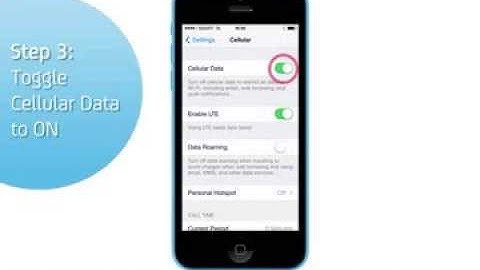 iPhone 5C: Turn on/off data services