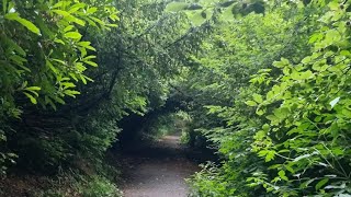 Walking On The Jesmond Dene Park Forest With Amazing Views