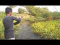 Fish hunting || Tilapia fishing