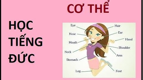 Học từ vựng về chủ đề " Cơ thể " tiếng đức (Learn vocabulary on the topic "Body" german)
