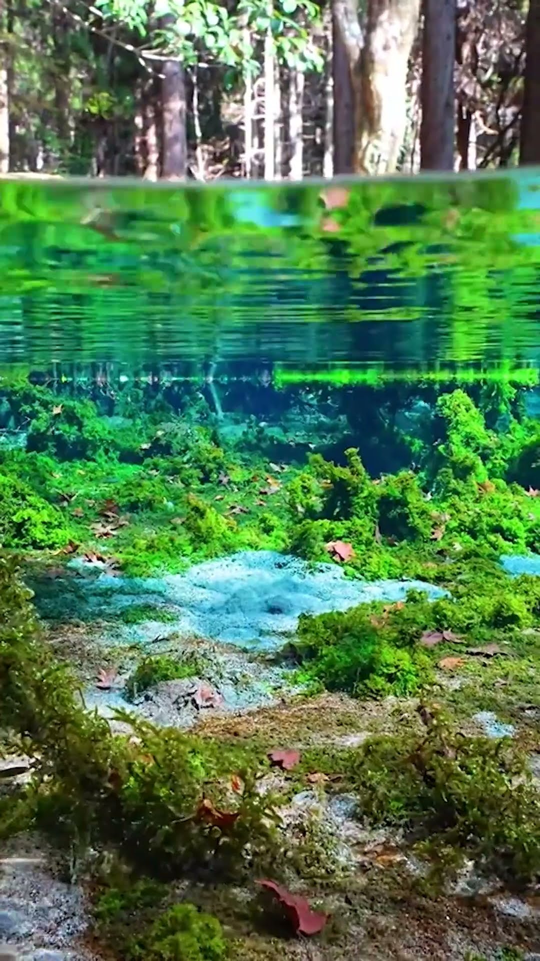I Need to Go Here