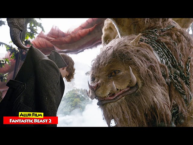 Kisah Petualangan Penakluk Hewan Misterius Di Dunia Sihir | Alur Cerita Film FANTASTIC BEAST (2018) class=