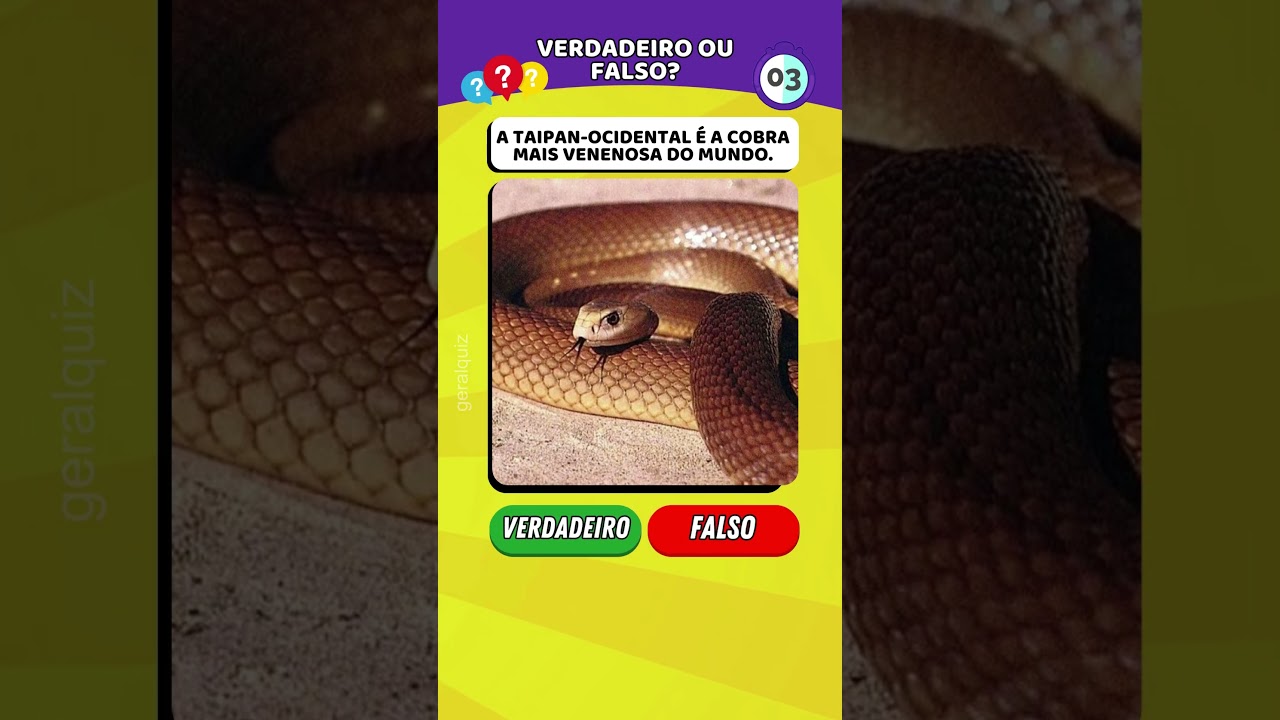 Verdadeiro ou falso? Perguntas sobre animais #quiz #animais #animal #p