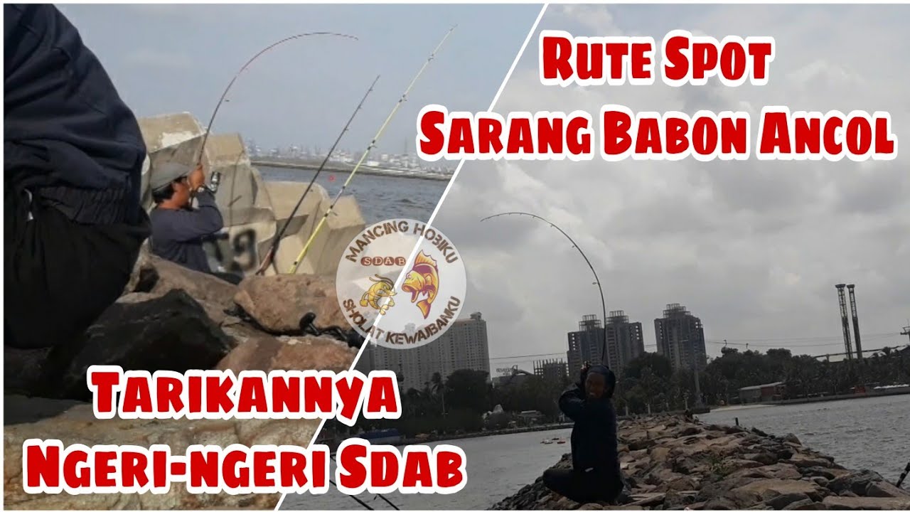 Mancing Ikan Babon || Mancing Di Ancol || Spot Mancing Jakarta || Rute Mancing
