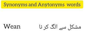 The #CSS important #Synonyms and #Antonyms with Urdu easy Translations