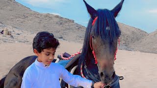 مفاجئة الإعلامي:رايد العوفي لسعد الخيال الصغير|طلعه على الخيل مع الشباب🐎♥️