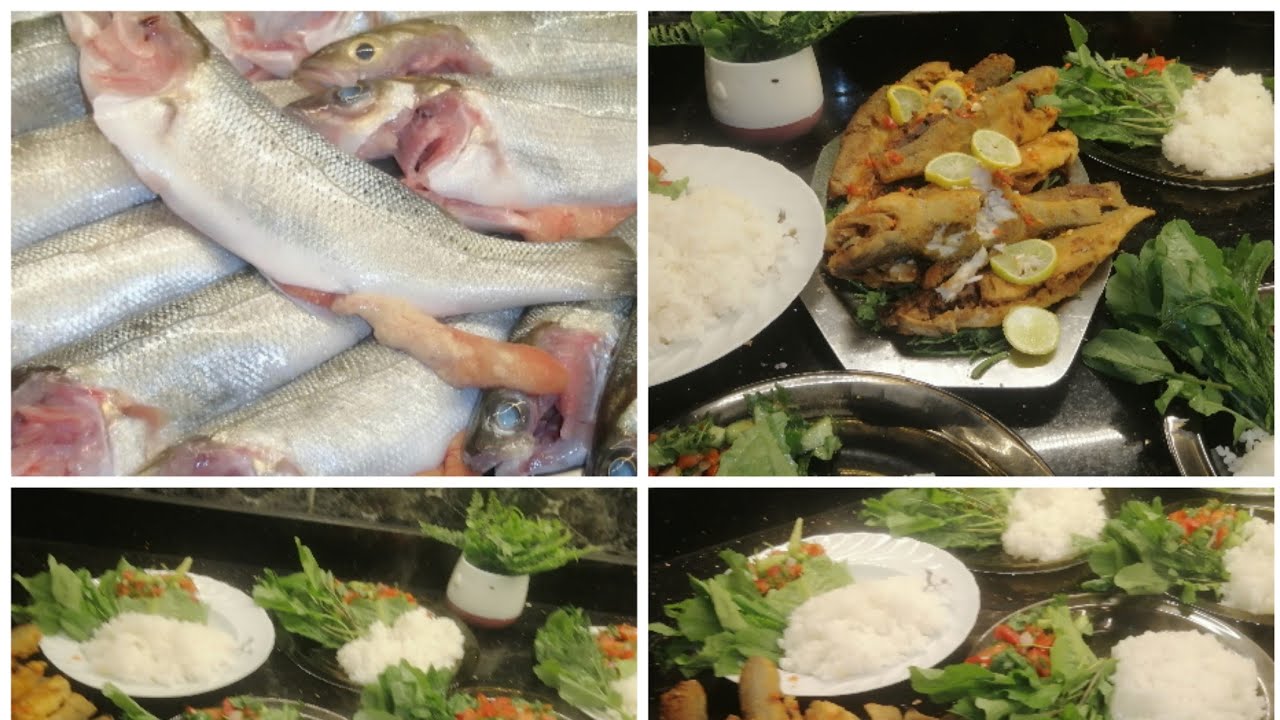 السمك القاروس من ايد اختي واخدنه منها شويه معلومات مهمه