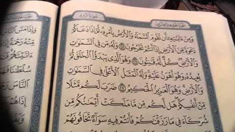 سورة الروم ص/٤٠٧(١)