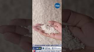 Rice Dryer Machine in Punjab | 17% से 14% तक Moisture Reduction | Rice Processing Industry