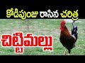 చిట్టిమల్లు పెట్టిన చిచ్చు ఒకతెలుగు చరిత్రతిరగేసింది|History of Chittimallu in Telugu |Amazing Story