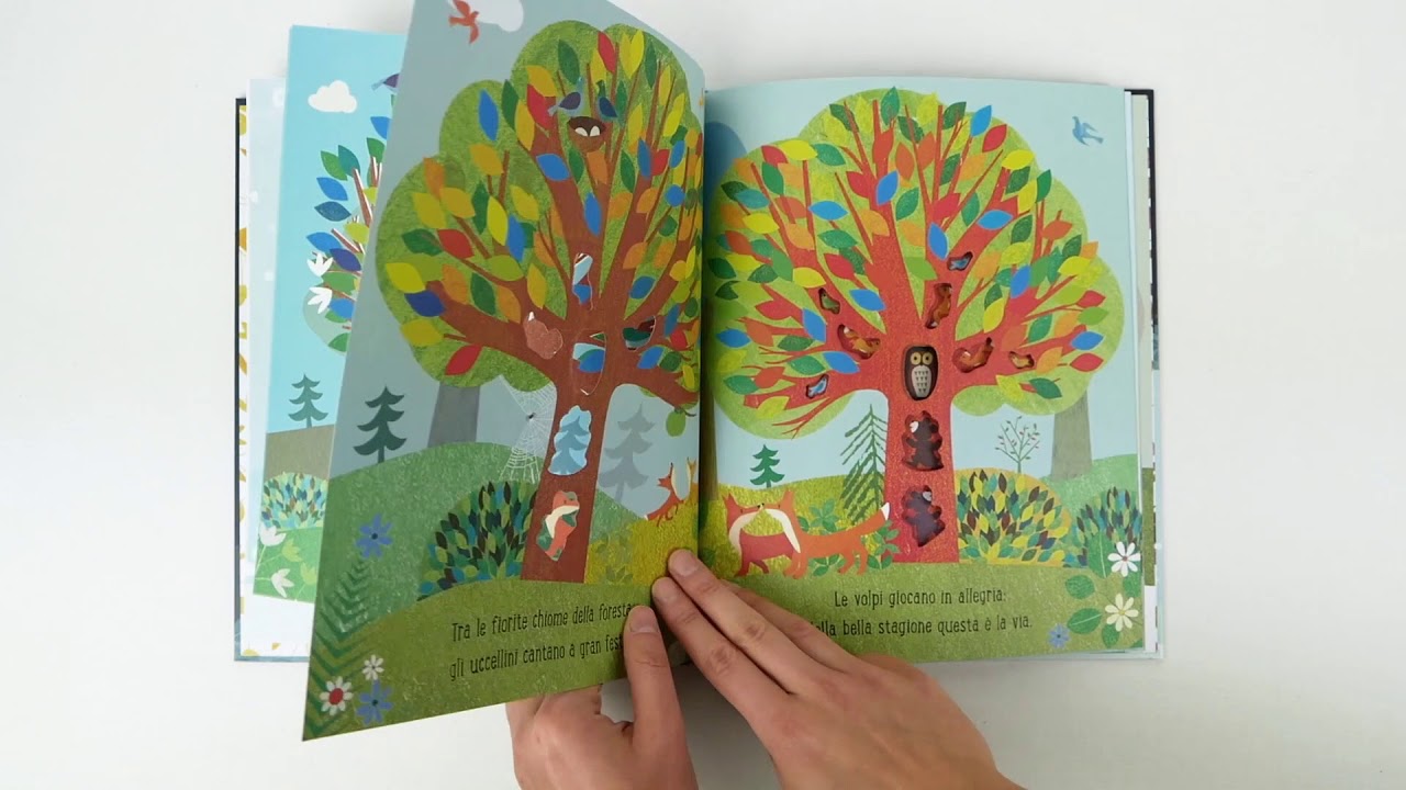 Sassi Junior - Libri Illustrati. Albero N.E 2018 - YouTube