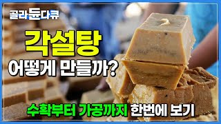 ‘끊을 수 없는 단맛의 유혹’ 설탕은 어떻게 만들어질까? 사탕수수 수확 현장부터 순도 100% 각설탕 가공 공장까지┃니카라과┃세계테마기행┃#골라듄다큐