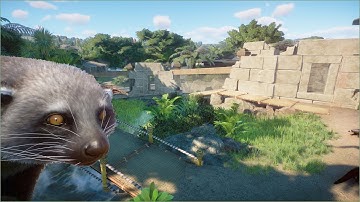 🐈‍⬛ Little binturong habitat | Quaco Zoo | Planet Zoo | speedbuild 🌻