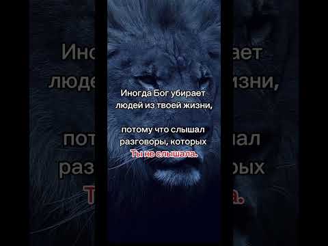 #самосовершенствование #реализация #трансформация #мотивациянауспех #вдохновение