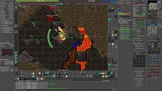 TIBIA TEST SERVER 980 RP RAUBRITTER TEST 8KK RAW WASTE