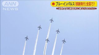 ブルーインパルスが全国でも？河野大臣「前向きに」(20/06/02)