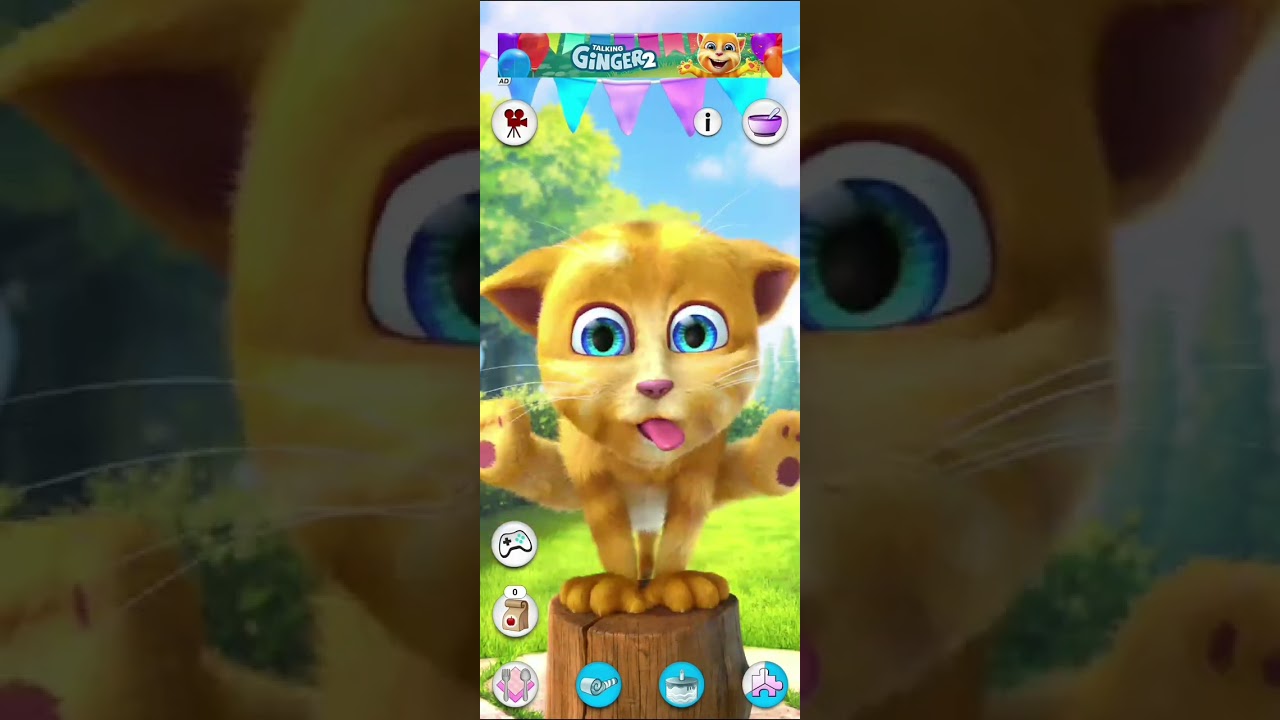 Talking Ginger 2😂 Talking Ginger Tom