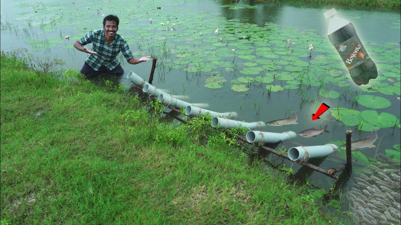 ஏணி படி Fish Trap Using with Bovonto bottles | PVC வெச்சி மீன் புடிக்கலாம் வாங்க | Mmk