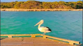 964a7831801834da6780e0f979afb747