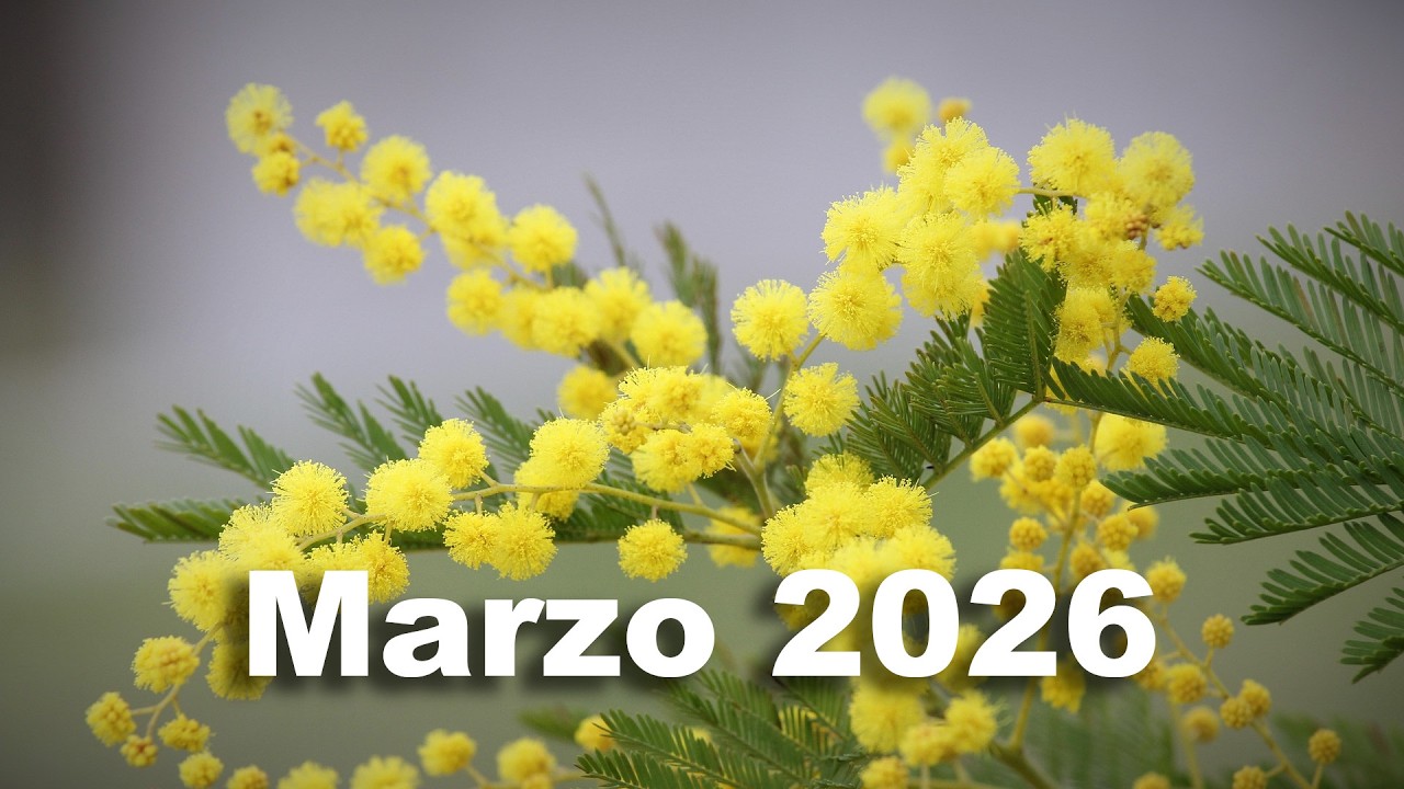 Marzo 2026. Lettura mensile.