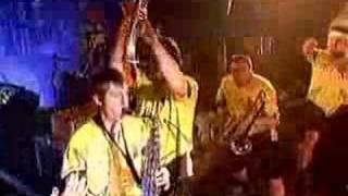 Tleskač - Skandinávská ženská