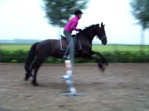 Kim en fries Hester springen!