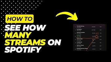 How to see how many streams a song has on Spotify (2024)