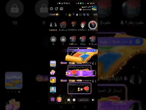 المقبره مع الموزيعه جمره داخل غرفه تاكسي السهره الخليج الكويت مشاهير مصر