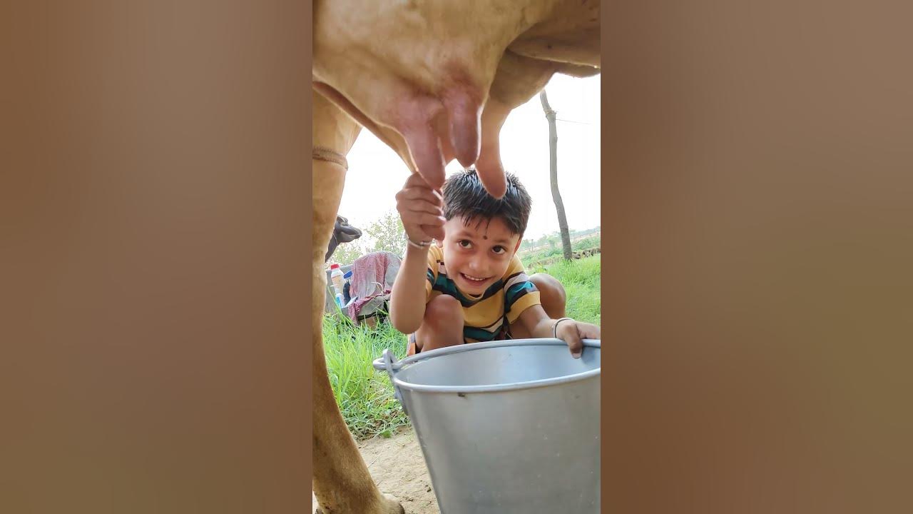 choti choti gaiya ydyeyyttr #song #love #funny