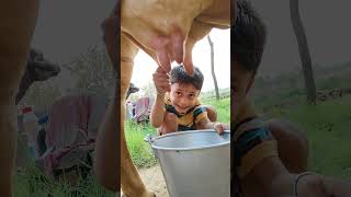 Small Girl Ydyeyyttr song love funny